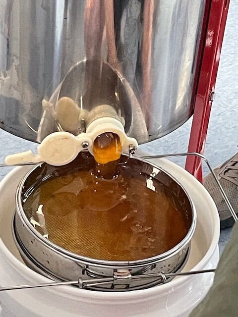 Honey flowing from a metal extractor into a strainer over a bucket, capturing the golden liquid. Nearby, a person’s foot is visible.